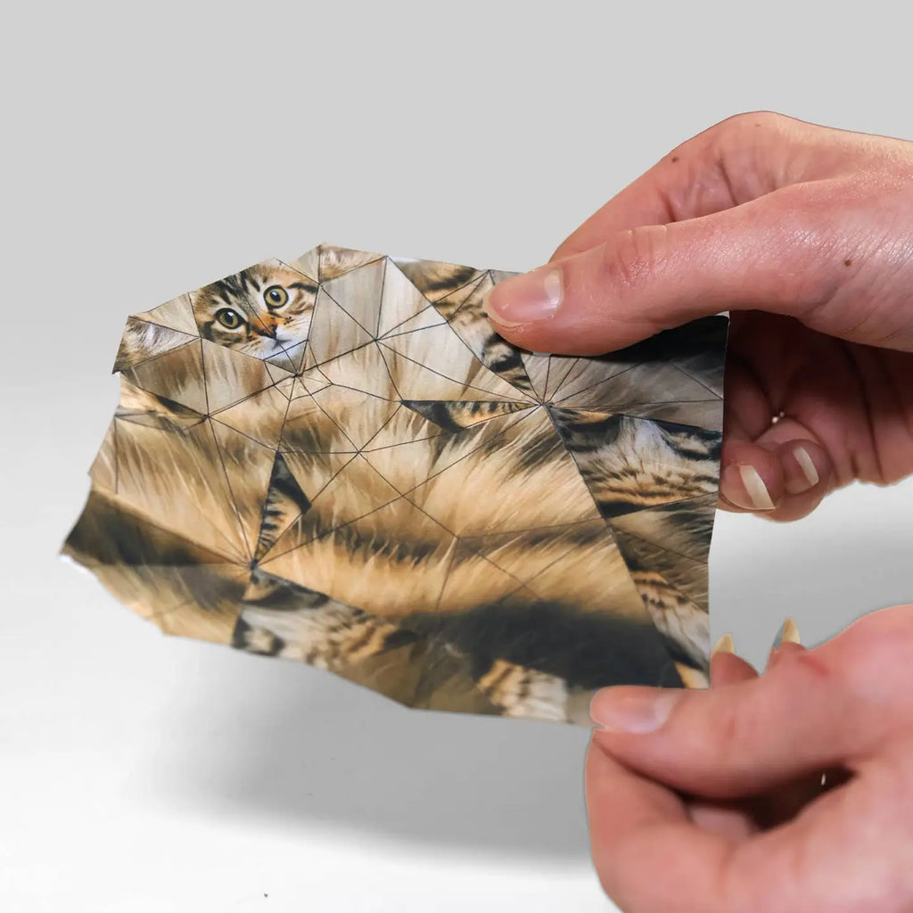 Paper Cats