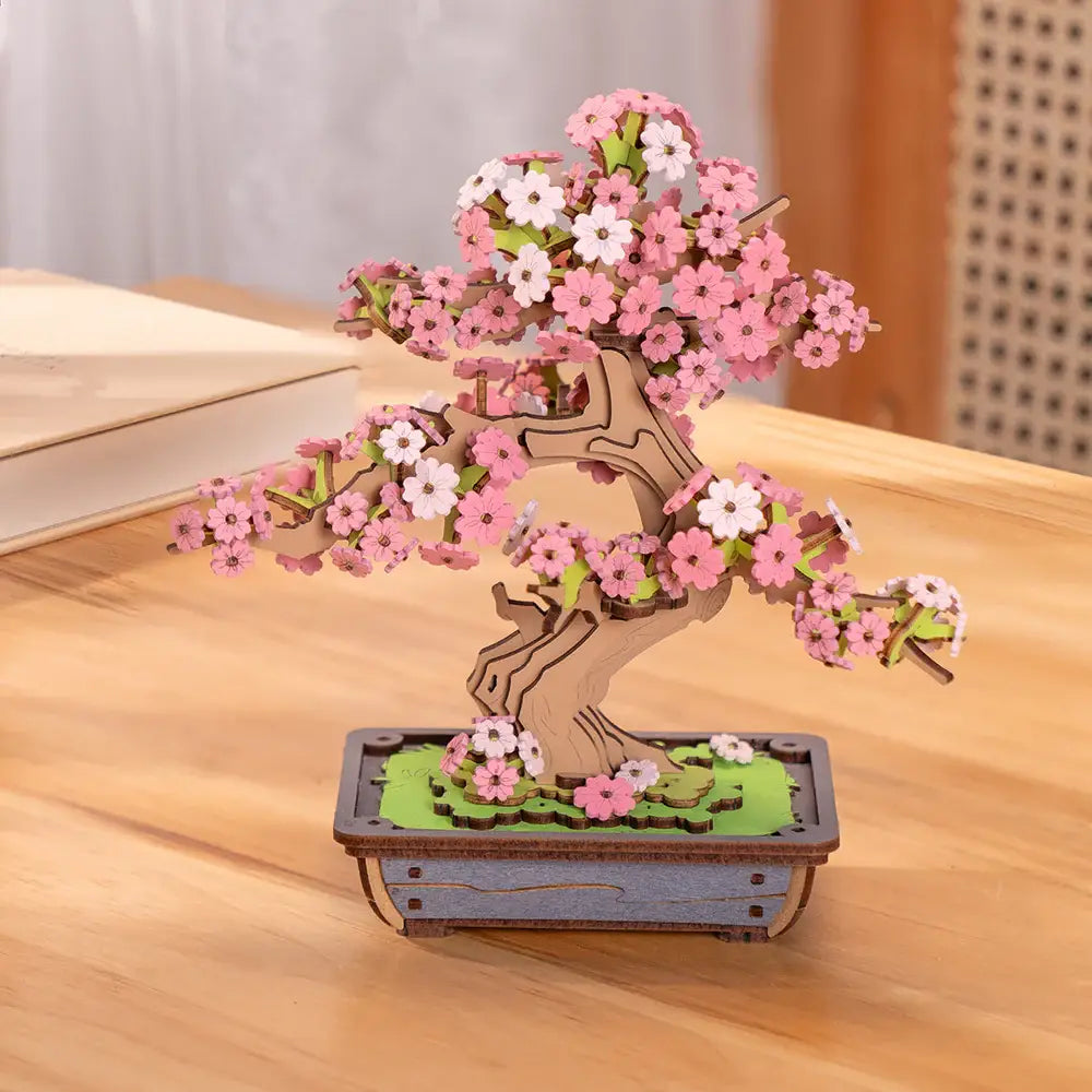 Sakura Bonsai