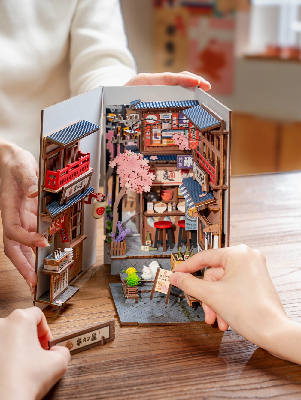 Sakura Wine Ally Book Nook